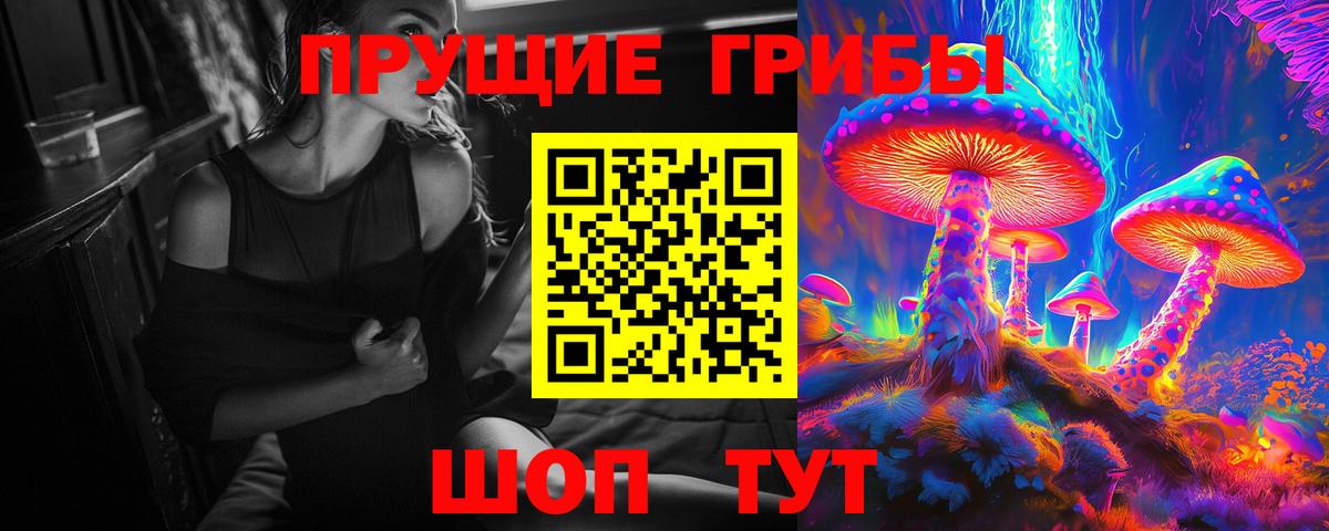 Новосибирск  Галлюциногенные грибы мицелий  Вход с VPN 