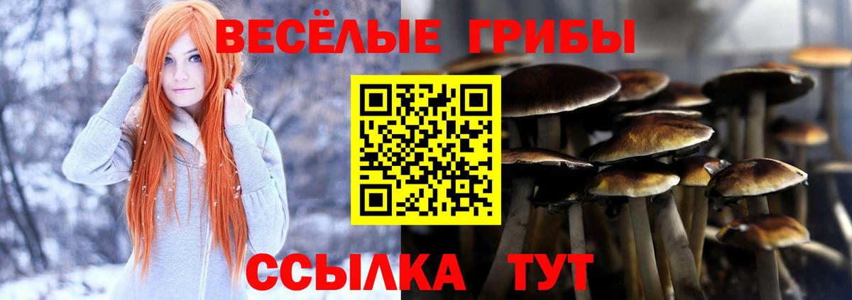 Галлюциногенные грибы ЛСД Новосибирск